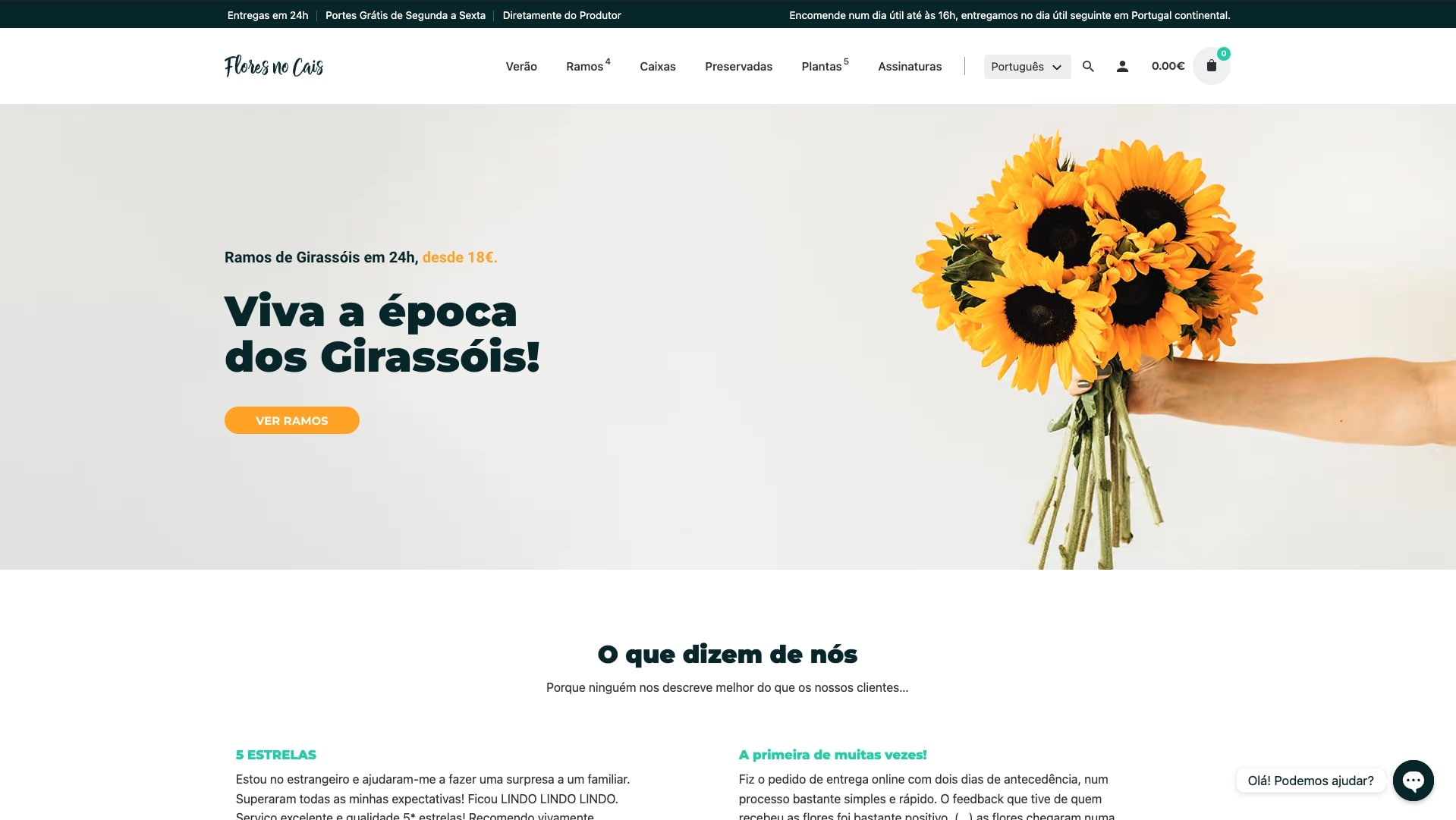 otimiza-o-de-wordpress-a-flores-no-cais-one-pixel