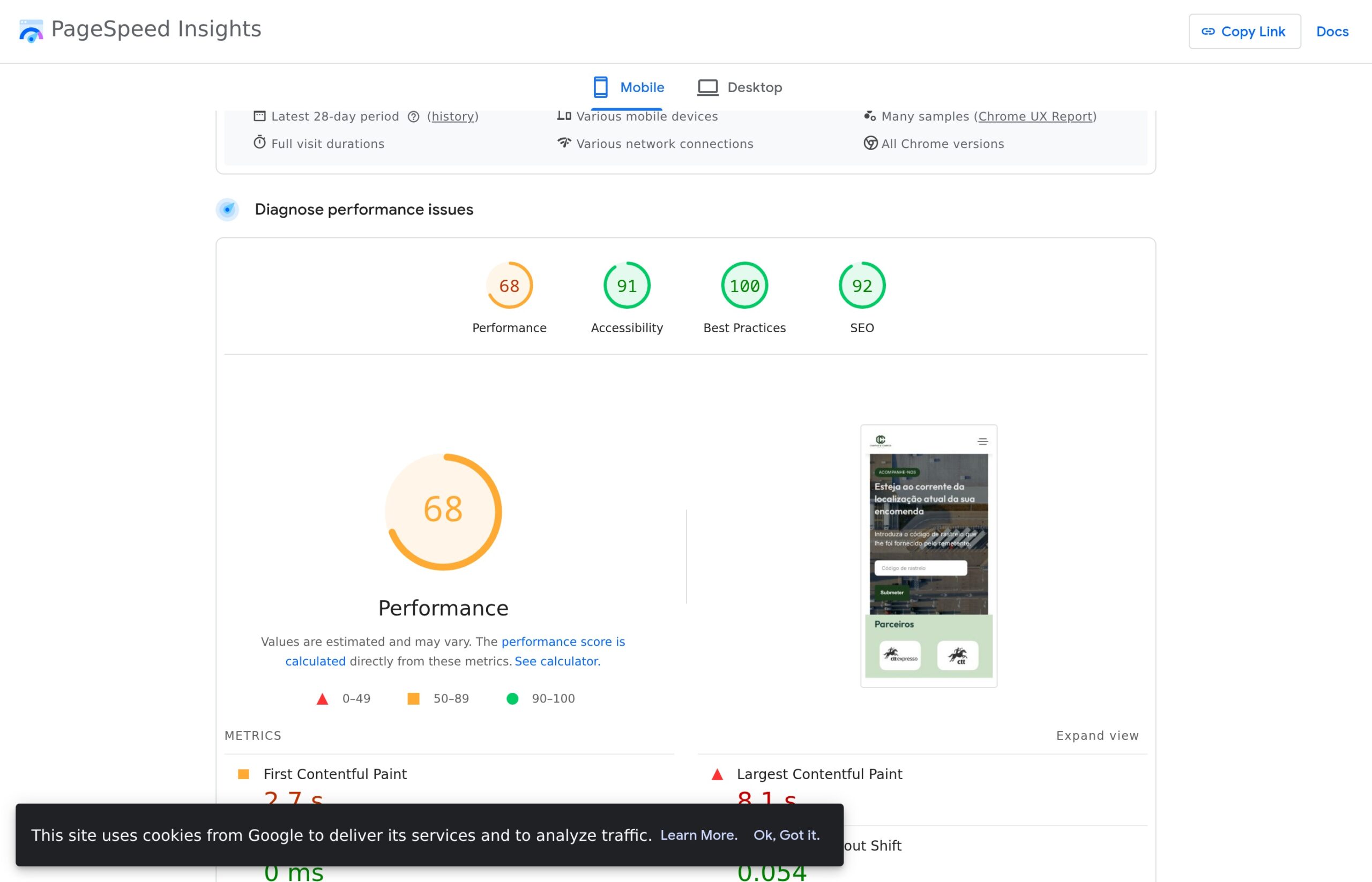 Google PageSpeed Insights — Campos e Campos Logística Mobile