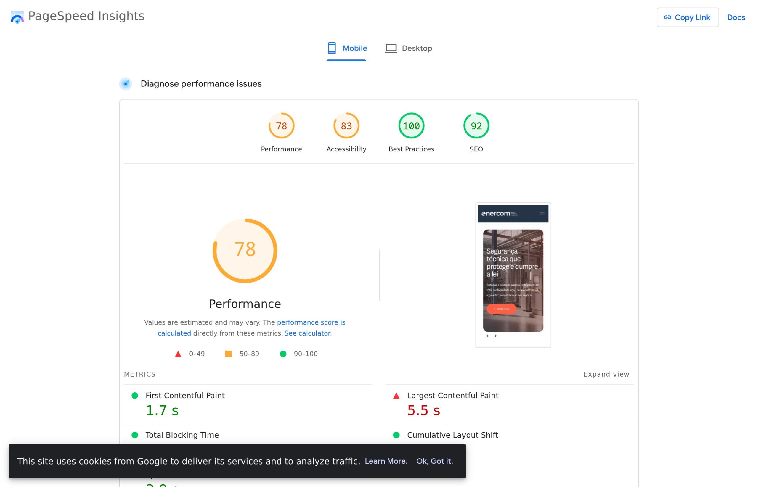 Google PageSpeed Insights — Enercom Mobile